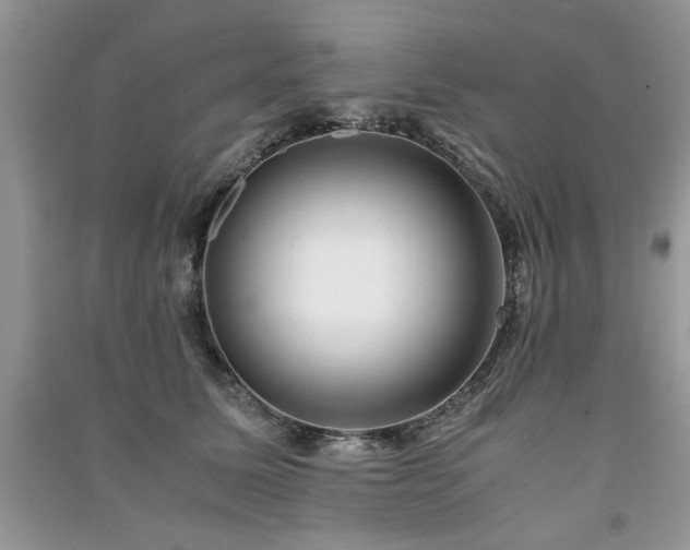 X0000091220611200708091410