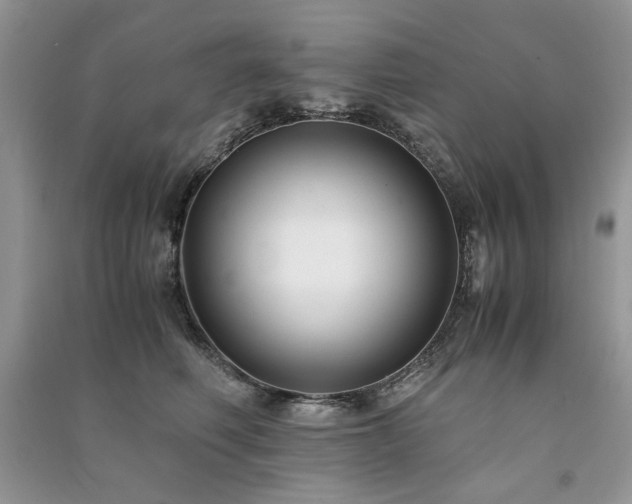 X0000091220614200708091410