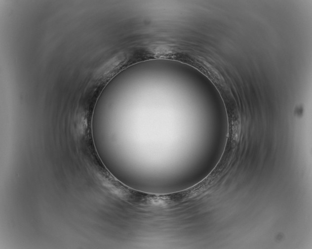 X0000091220618200708091410