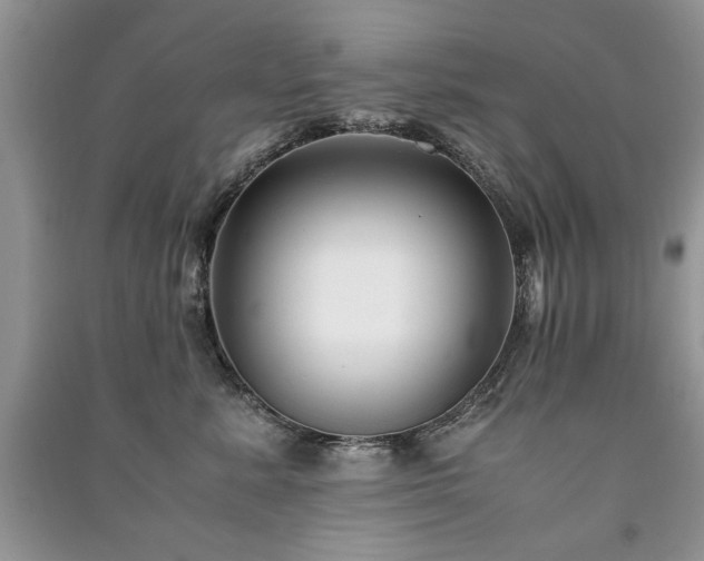 X0000091220619200708091410