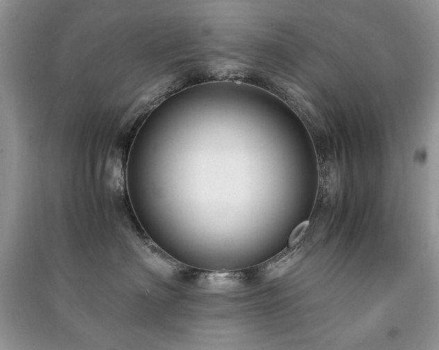 X0000091220622200708091409