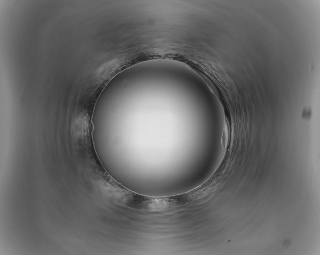 X0000091220623200708091409