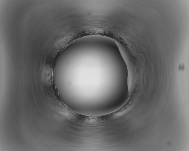 X0000091220624200708091409