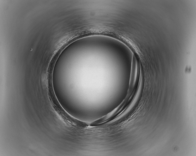 X0000091220626200708091409