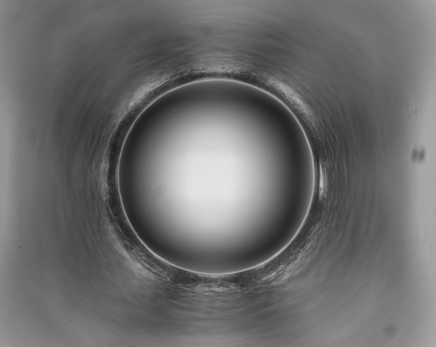 X0000091220627200708091409