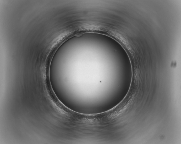 X0000091220629200708091409