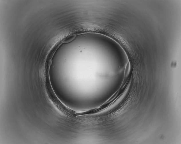 X0000091220630200708091409