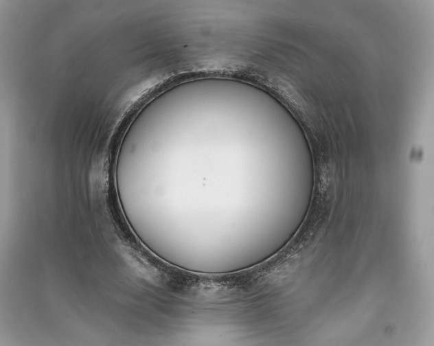 X0000091220632200708091409