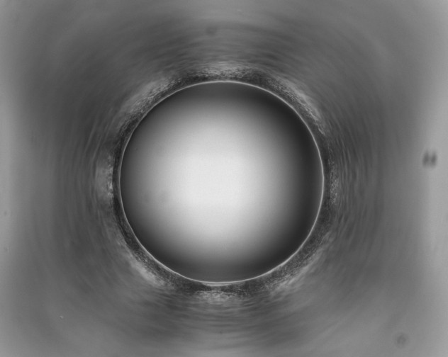 X0000091220633200708091409