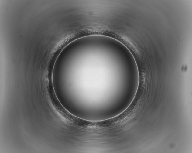 X0000091220634200708091409