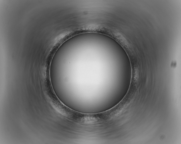 X0000091220636200708091409