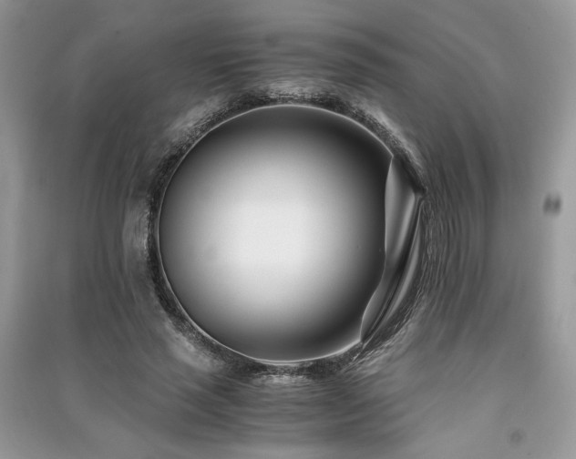 X0000091220637200708091409