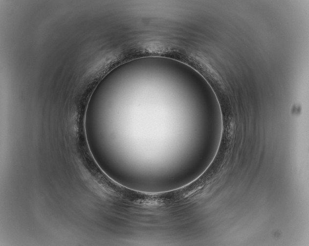 X0000091220639200708091409