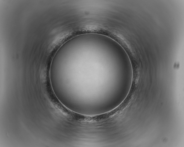 X0000091220640200708091409