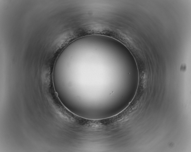 X0000091220642200708091409