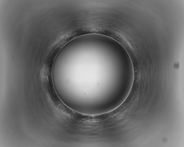 X0000091220643200708091409