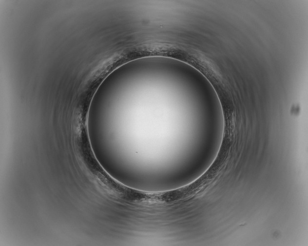 X0000091220644200708091409