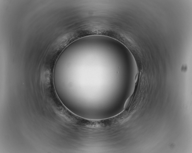 X0000091220646200708091409