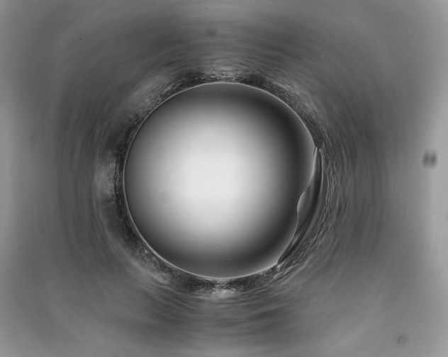 X0000091220647200708091409