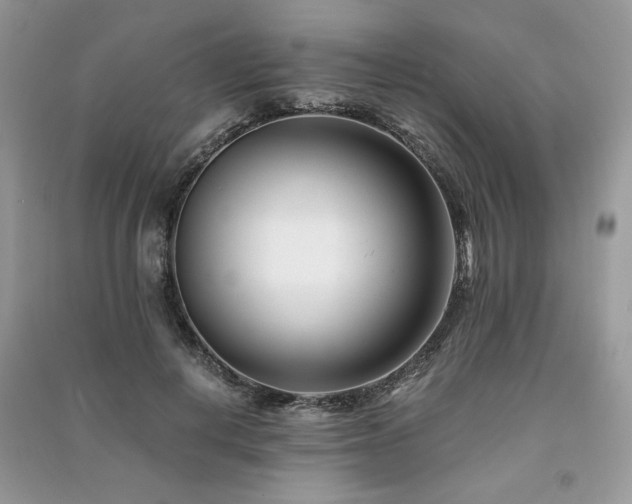 X0000091220648200708091409