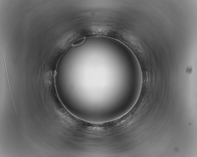 X0000091220649200708091409