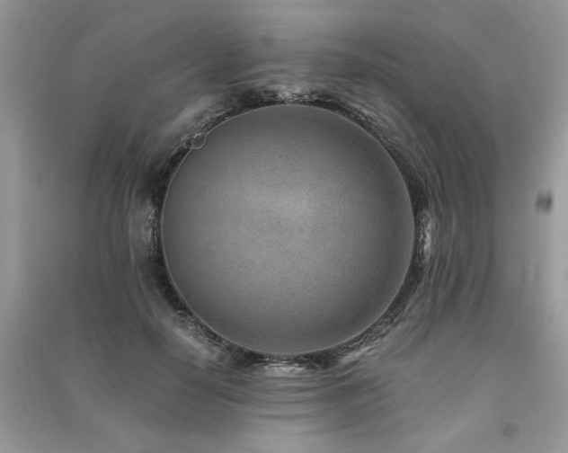 X0000091220650200708091409