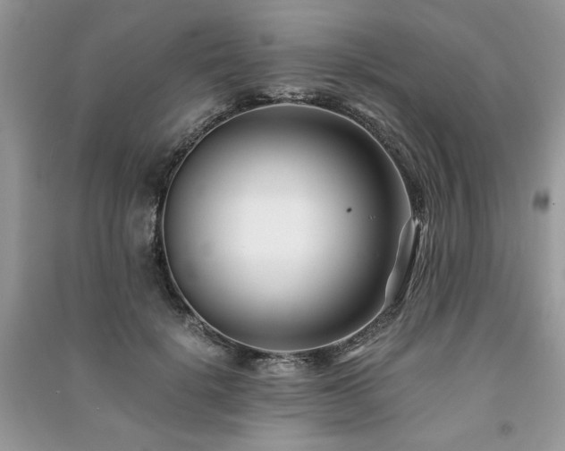 X0000091220652200708091409