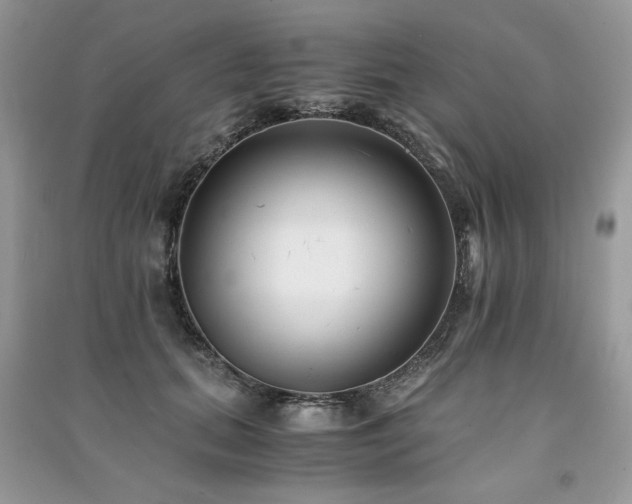 X0000091220655200708091409