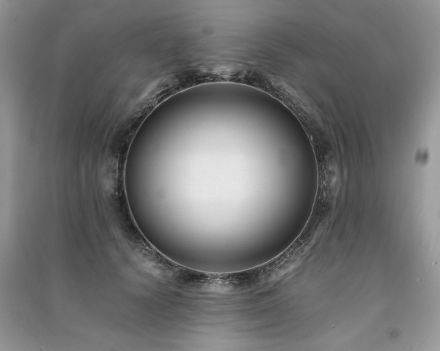 X0000091220656200708091409