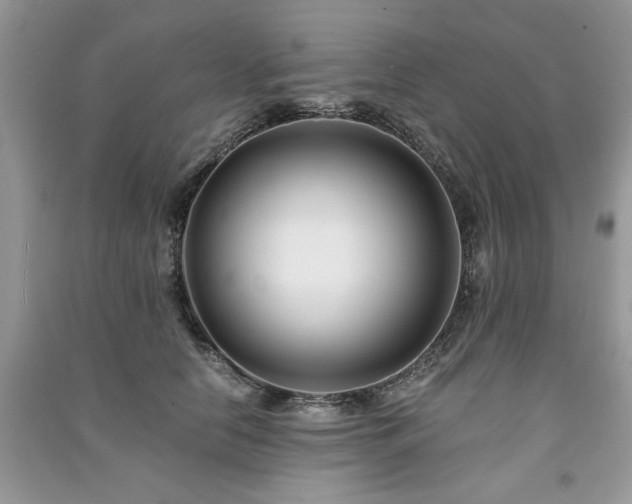 X0000091220658200708091409