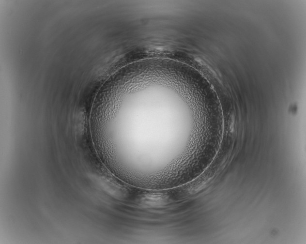 X0000091220659200708091409