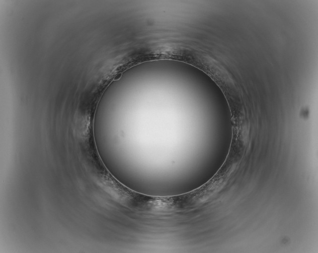 X0000091220660200708091409