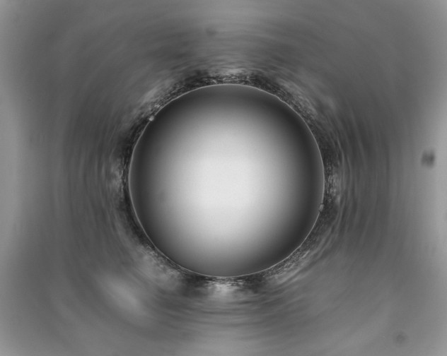 X0000091220662200708091409