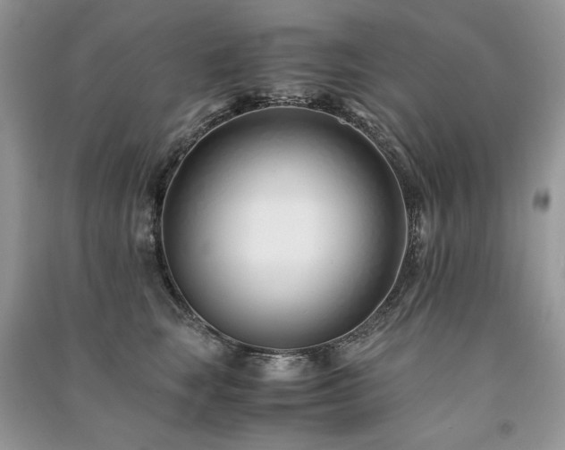 X0000091220663200708091409