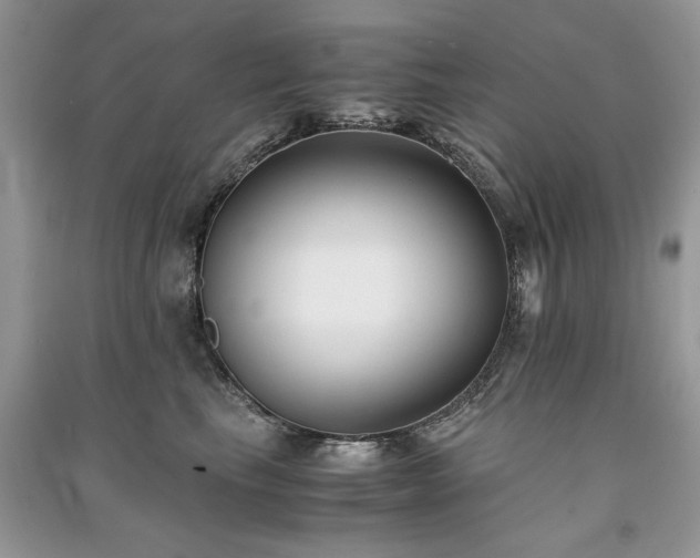 X0000091220665200708091409