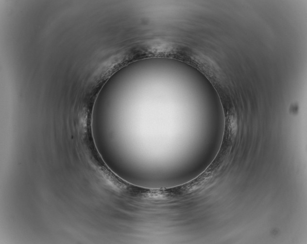 X0000091220668200708091409