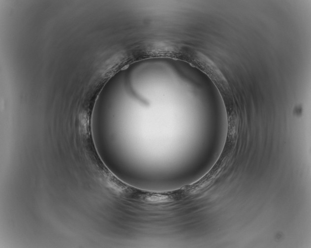 X0000091220669200708091409