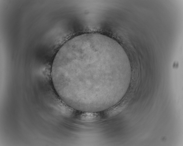 X0000091220672200708091409