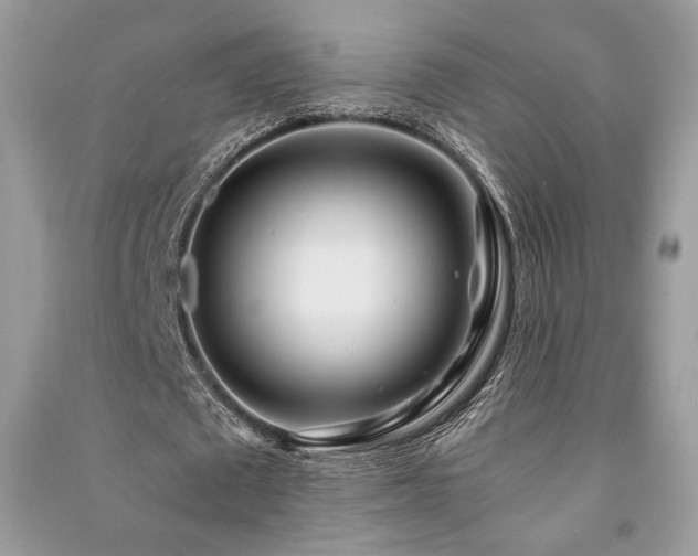 X0000091220673200708091409