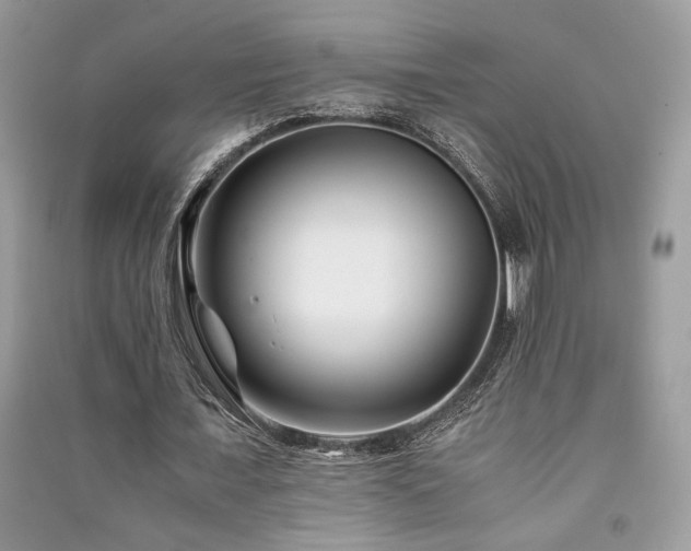 X0000091220675200708091409