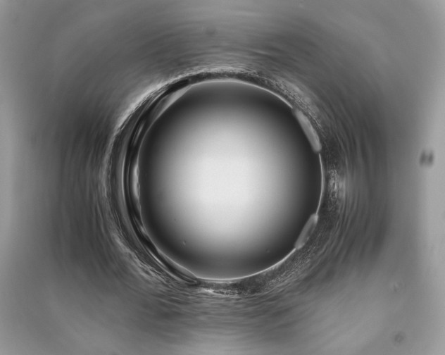 X0000091220676200708091409