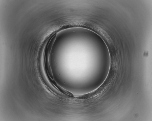 X0000091220677200708091409