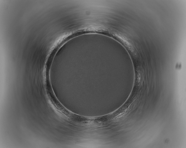 X0000091220678200708091409