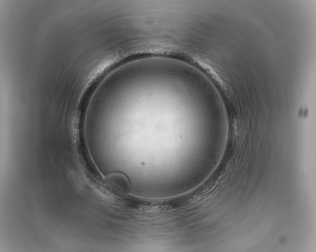 X0000091220679200708091409