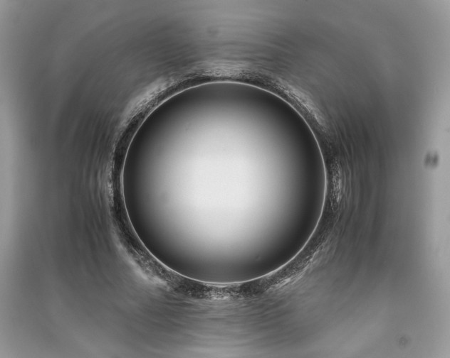 X0000091220682200708091409