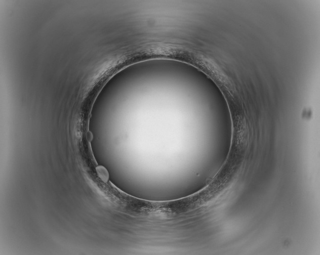 X0000091220683200708091409