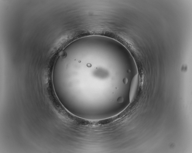 X0000091220687200708091409