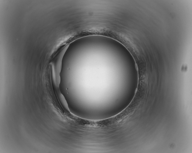 X0000091220688200708091408