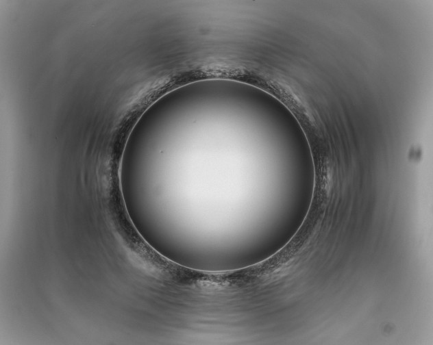 X0000091220690200708091408