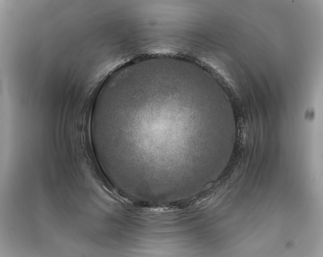 X0000091220692200708091408